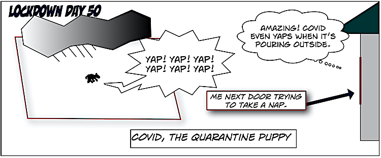 10. Covid, the Quarantine Puppy Comics