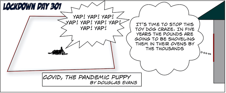 301. Covid, the Quarantine Puppy Comics 