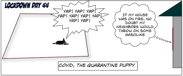 4. Covid, the Quarantine Puppy Comics