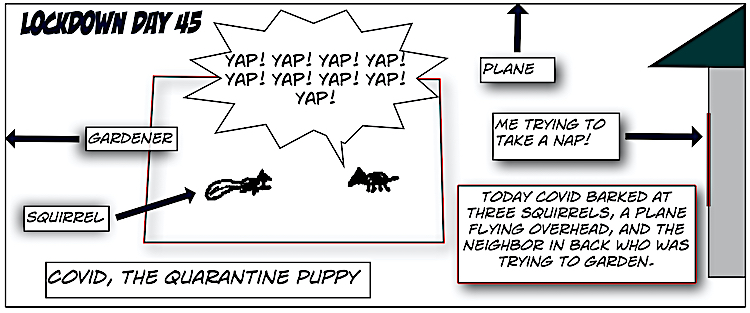 5. Covid, the Quarantine Puppy Comics