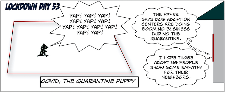 53.Covid, the Quarantine Puppy