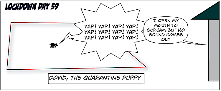 59Covid, the Quarantine Puppy