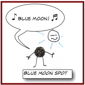 SpotBlueMoon