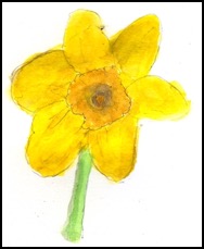 daffodil